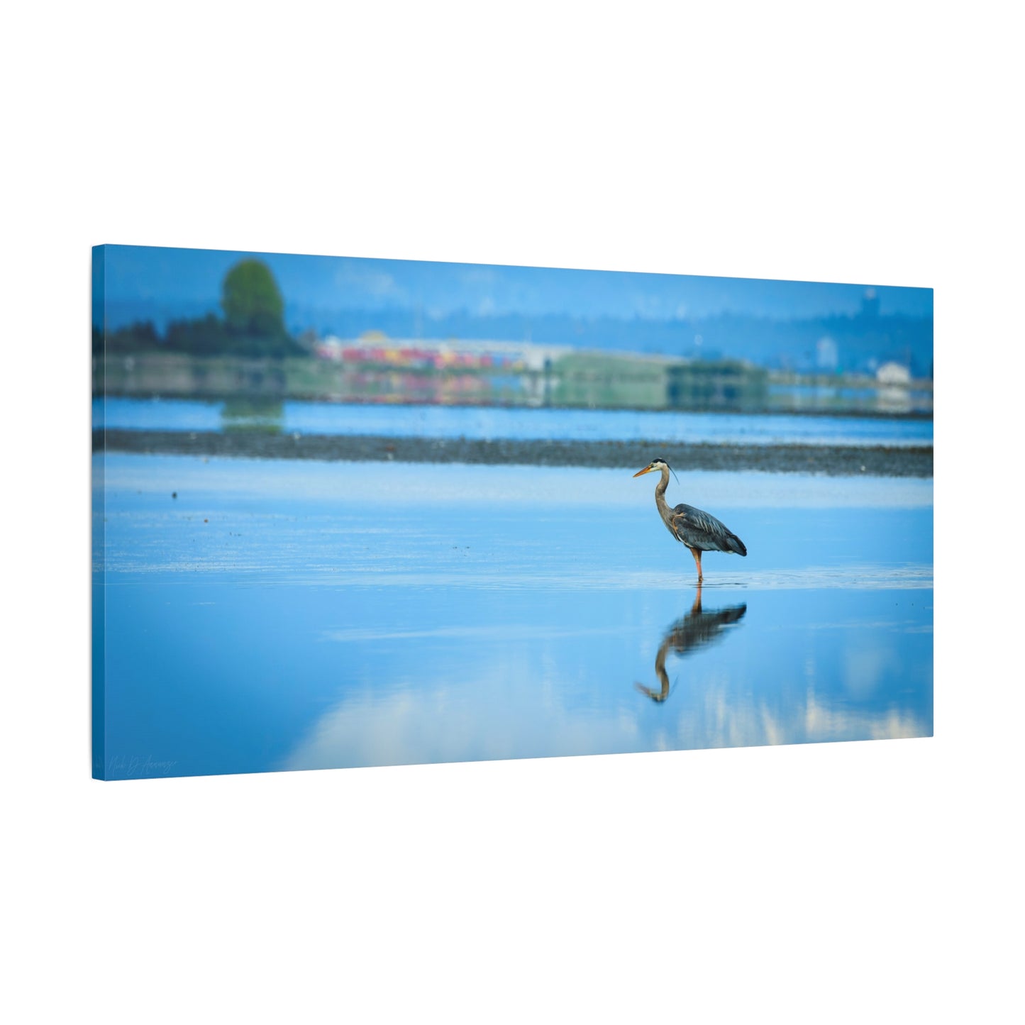 Heron | Canvas Print