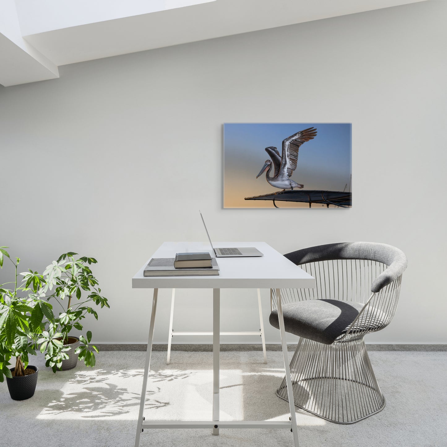 Coastal Pelican | Canvas Print