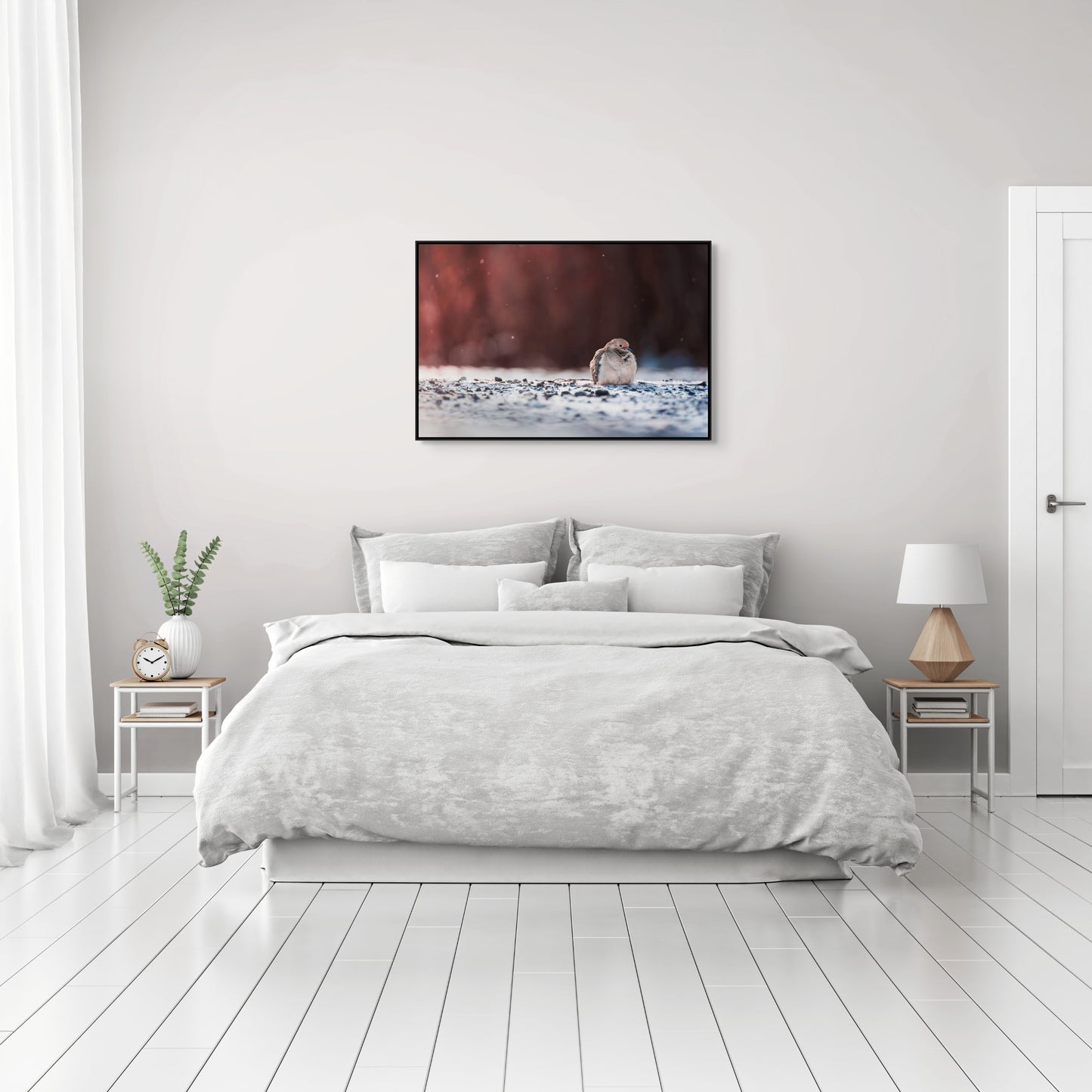 Dove | Black Framed Canvas