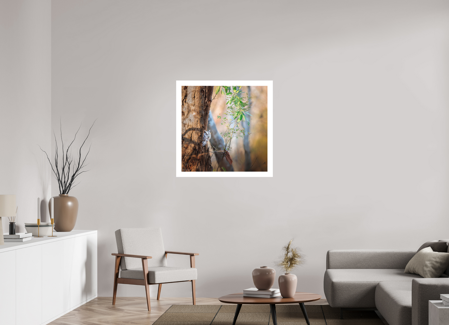 80 x 80 cm, Fine Art Paper (Hahnemühle Photo Rag 308) Pacific Screech | Acrylic Glass Fine Art Print