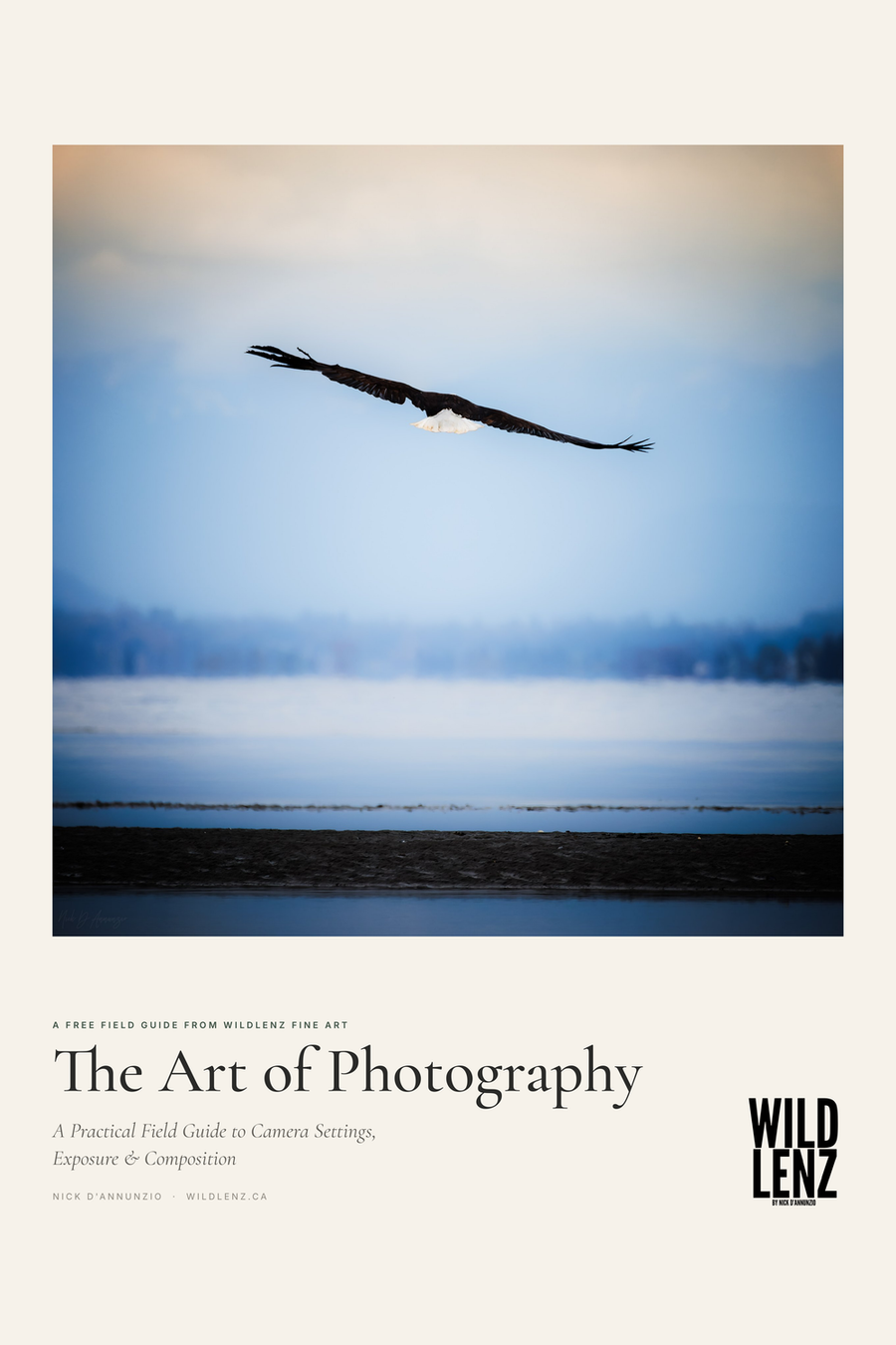 The Art of Photography Volume I official field guide cover