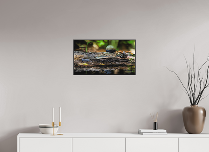 64 x 36 cm, Photo Print Under Acrylic Glass 4mm, Matte, Aluminium ArtBox, 25mm (Black) Oaxacroc | Acrylic Glass Fine Art Print