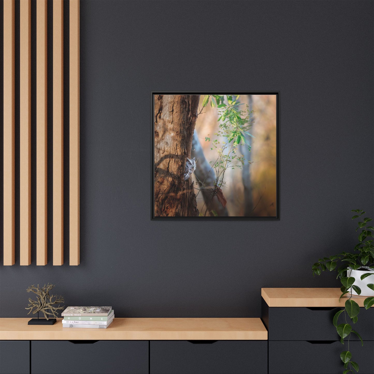 Pacific Screech | Framed Canvas