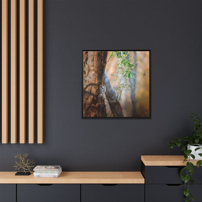 Pacific Screech | Framed Canvas