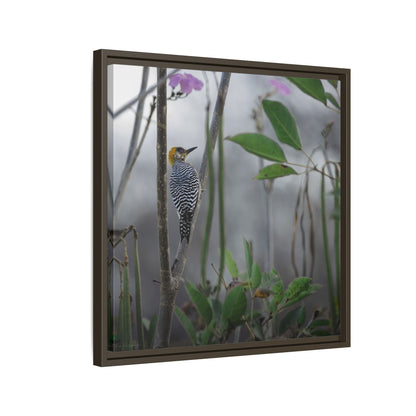 Golden Cheek | Framed Canvas
