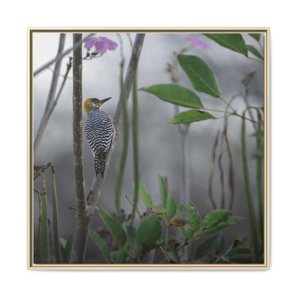 Golden Cheek | Framed Canvas