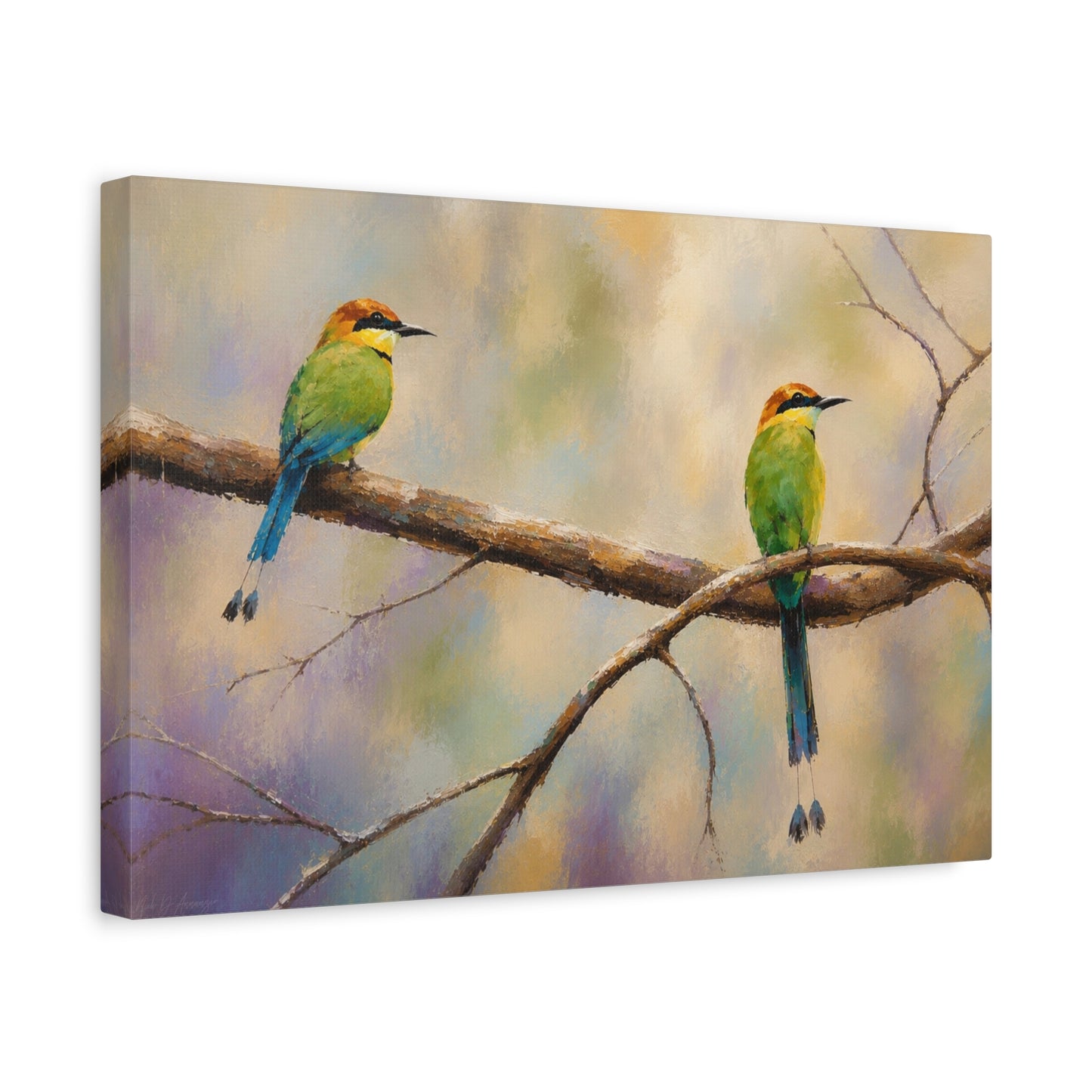 Twin Motmot Abstract Canvas Print