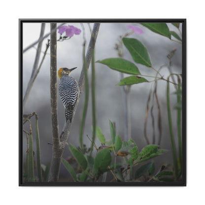 Golden Cheek | Framed Canvas