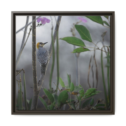 Golden Cheek | Framed Canvas