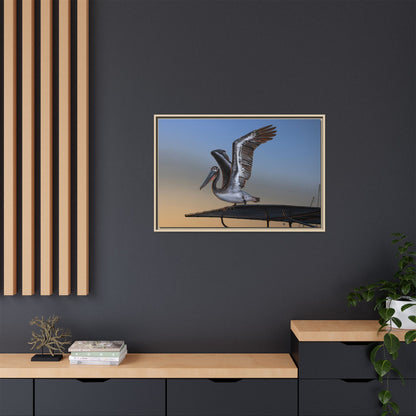Coastal Pelican | Framed Canvas