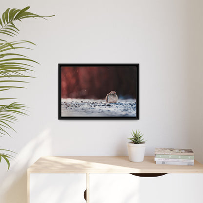 Dove | Framed Canvas
