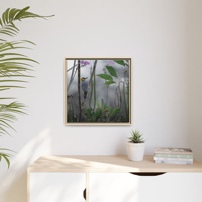 Golden Cheek | Framed Canvas