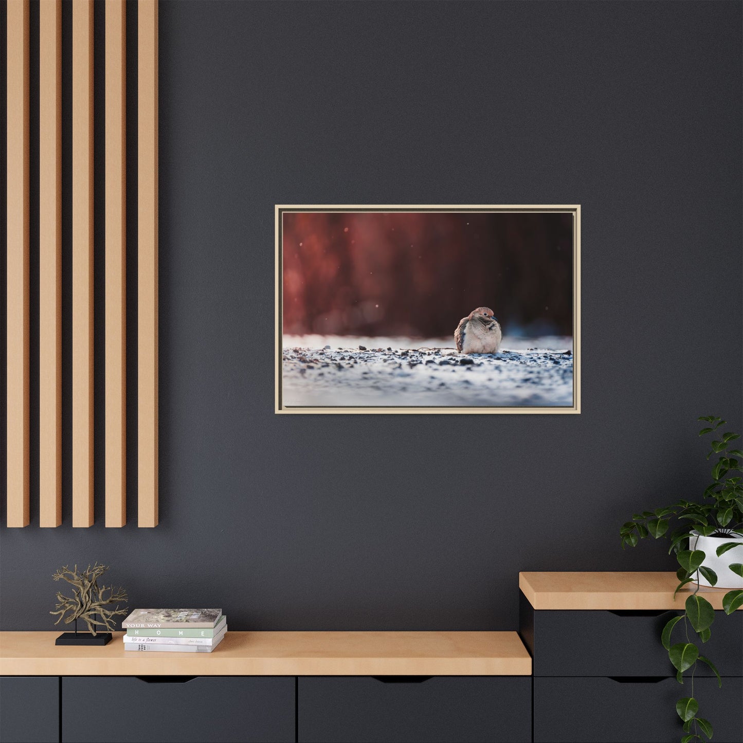 Dove | Framed Canvas