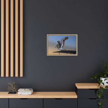 Coastal Pelican | Framed Canvas