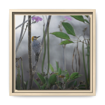 Golden Cheek | Framed Canvas