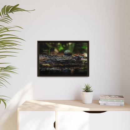 Oaxacroc | Framed Canvas