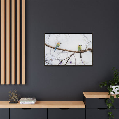 Twin Motmot | Framed Canvas
