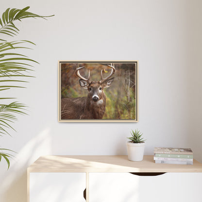 Woodland Buck | Framed Canvas