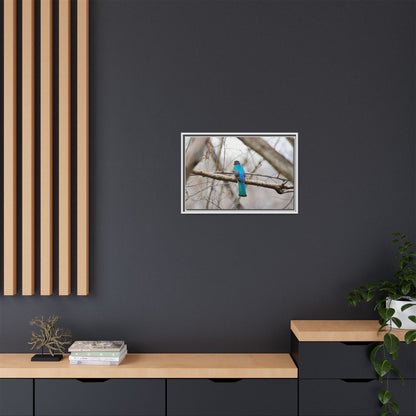 Citrine Trogon | Framed Canvas