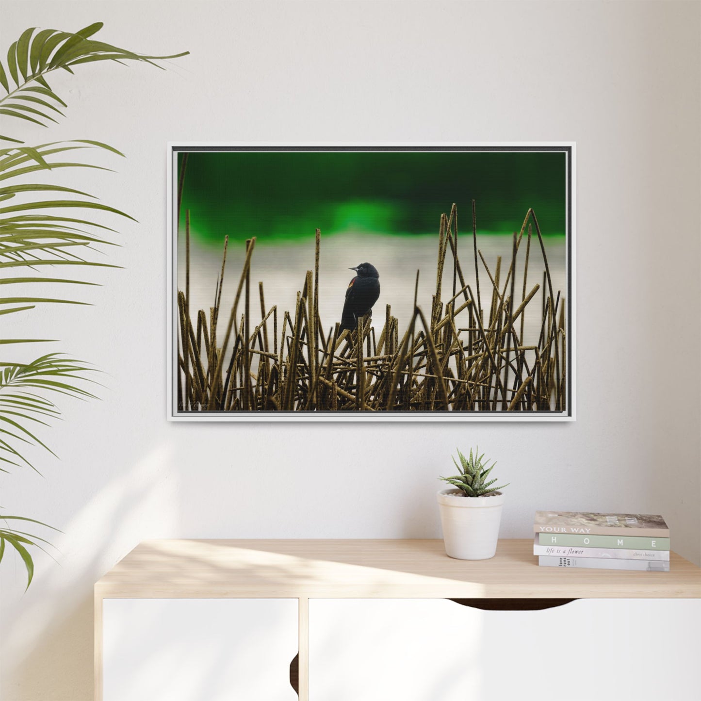 Blackbird | Framed Canvas