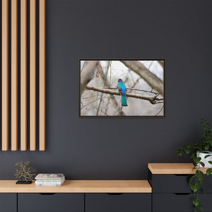 Citrine Trogon | Framed Canvas