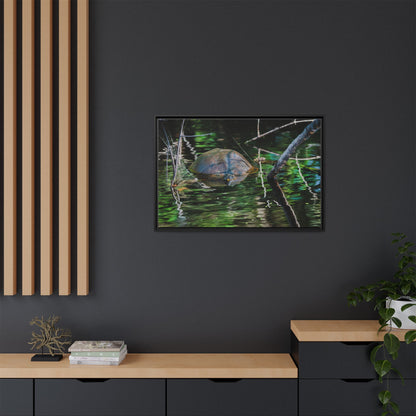 Untitled (Painted Turtle) | Framed Canvas