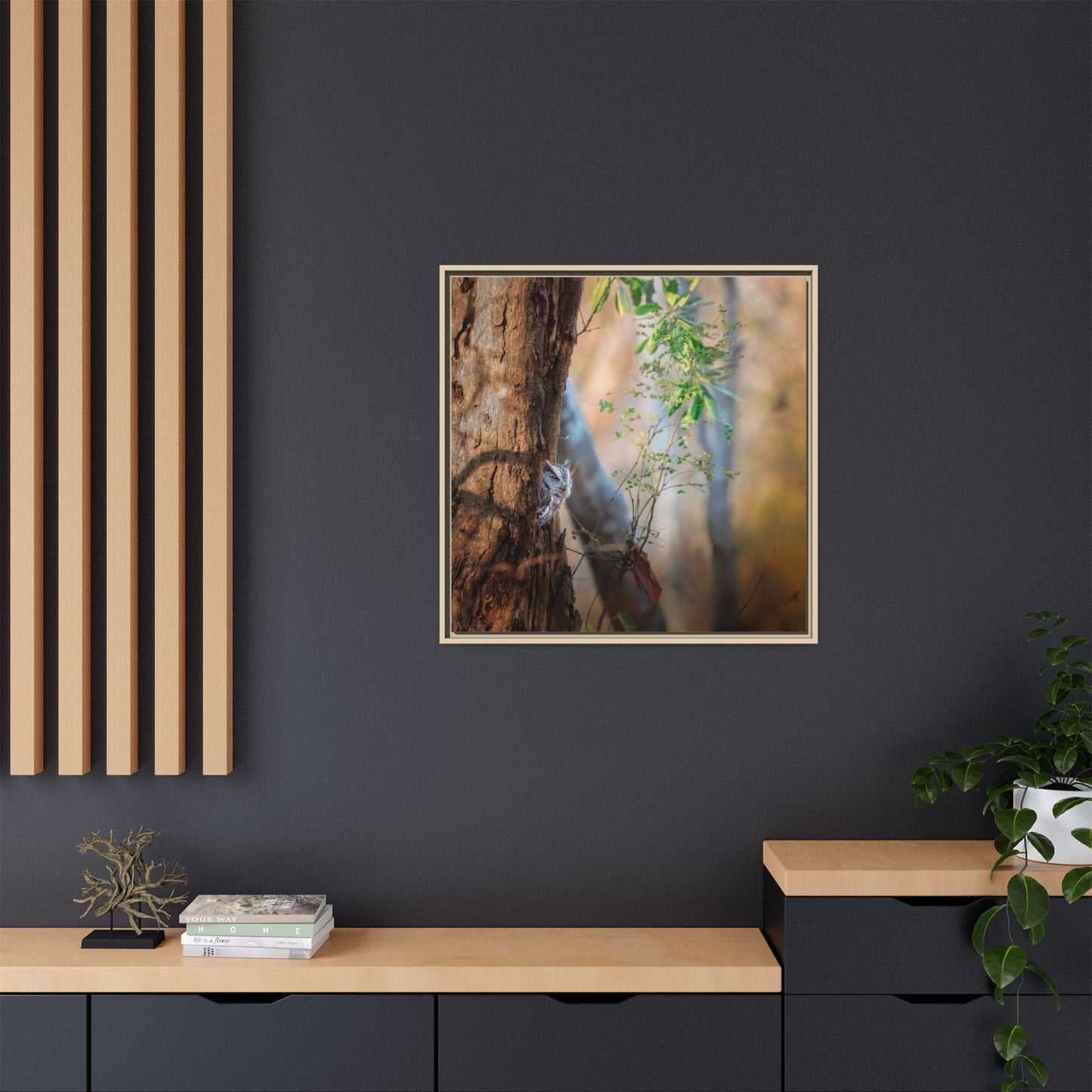 Pacific Screech | Framed Canvas
