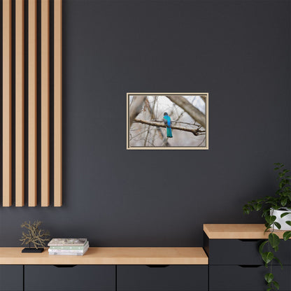 Citrine Trogon | Framed Canvas