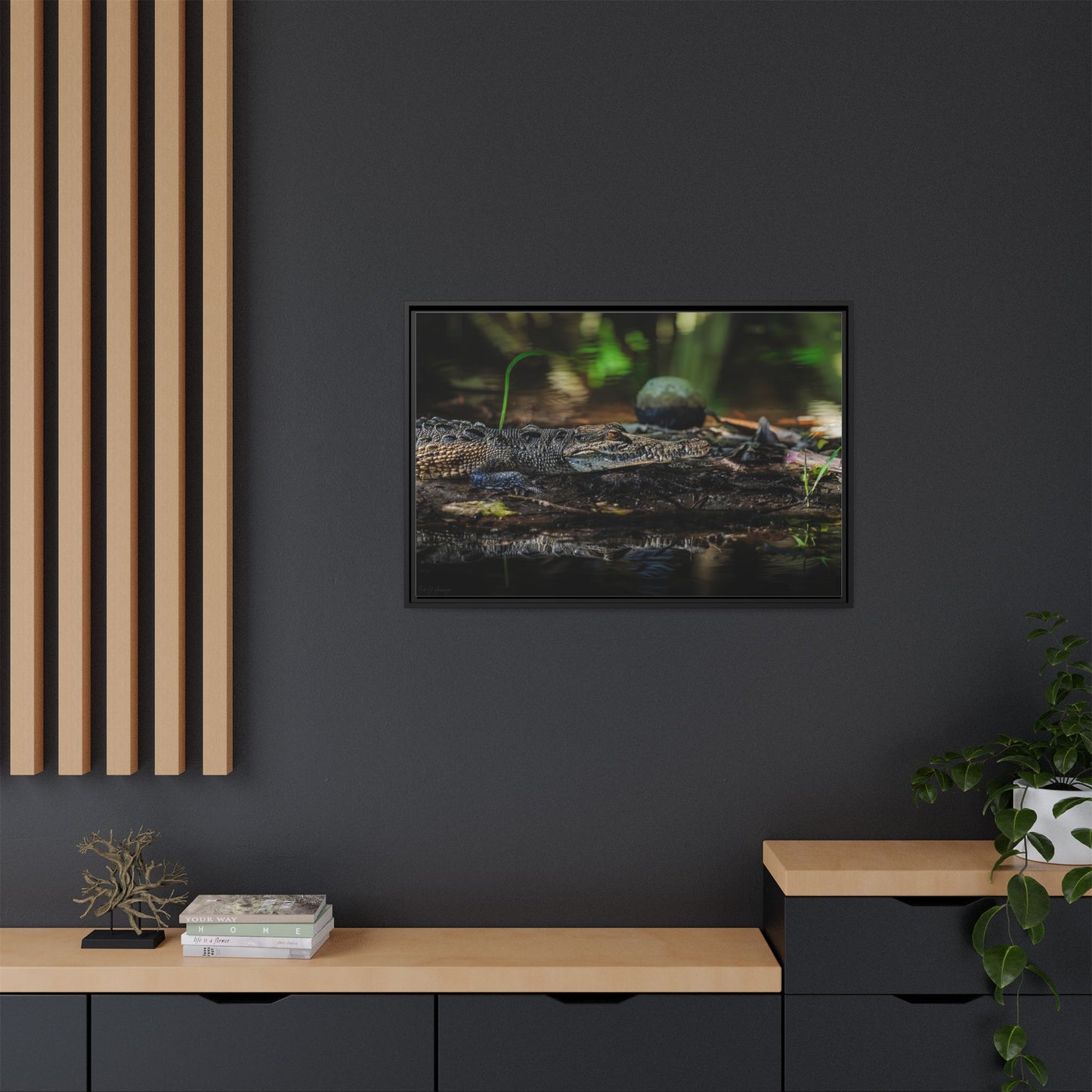 Oaxacroc | Framed Canvas