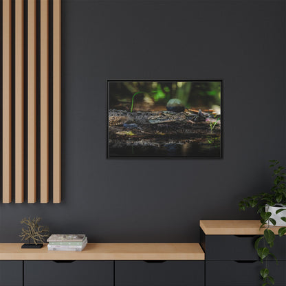 Oaxacroc | Framed Canvas