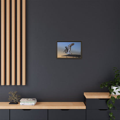 Coastal Pelican | Framed Canvas