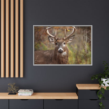 Woodland Buck | Framed Canvas