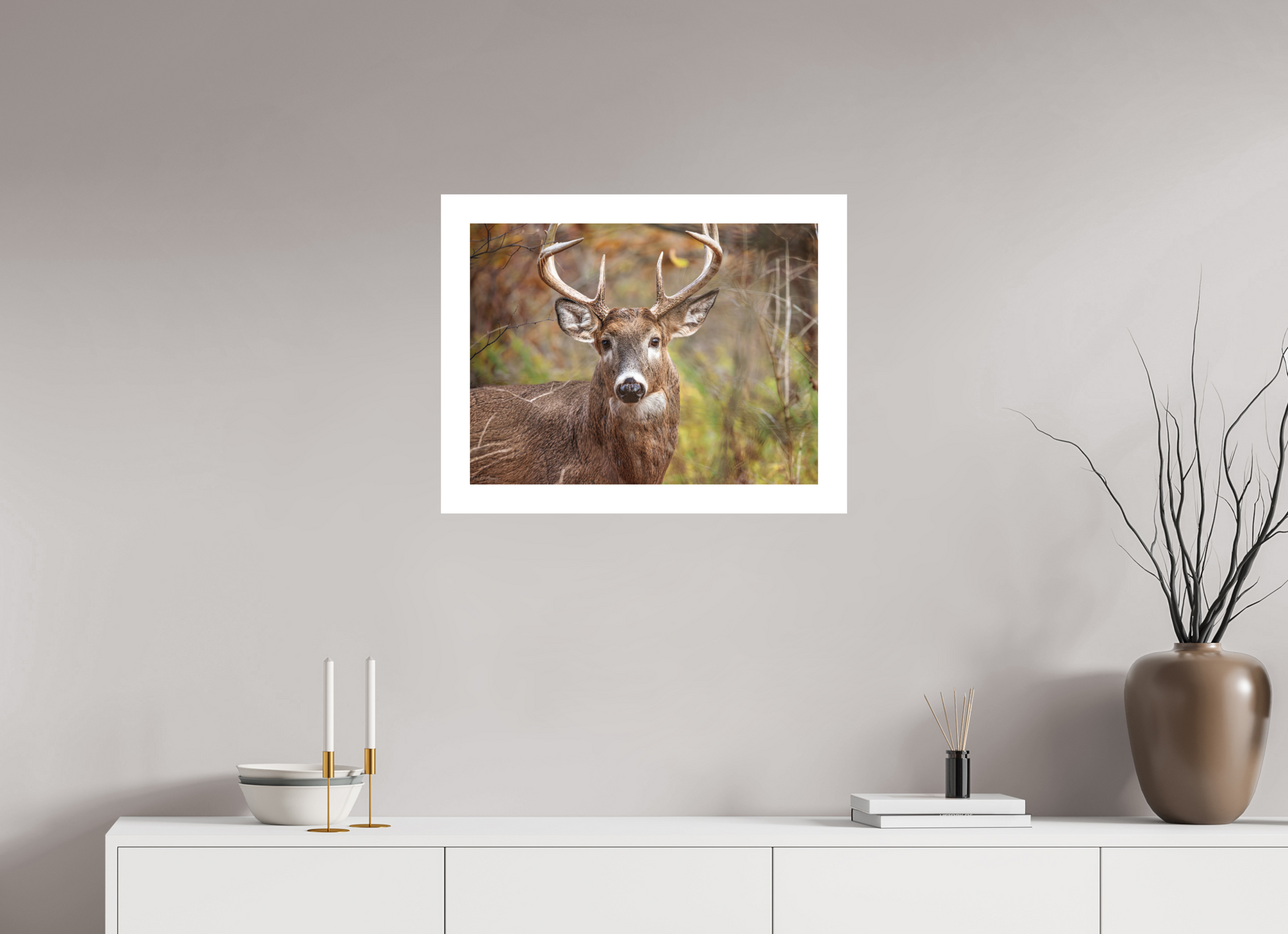 60 x 45 cm, Fine Art Paper (Hahnemühle Photo Rag 308) Woodland Buck | Acrylic Glass Fine Art Print
