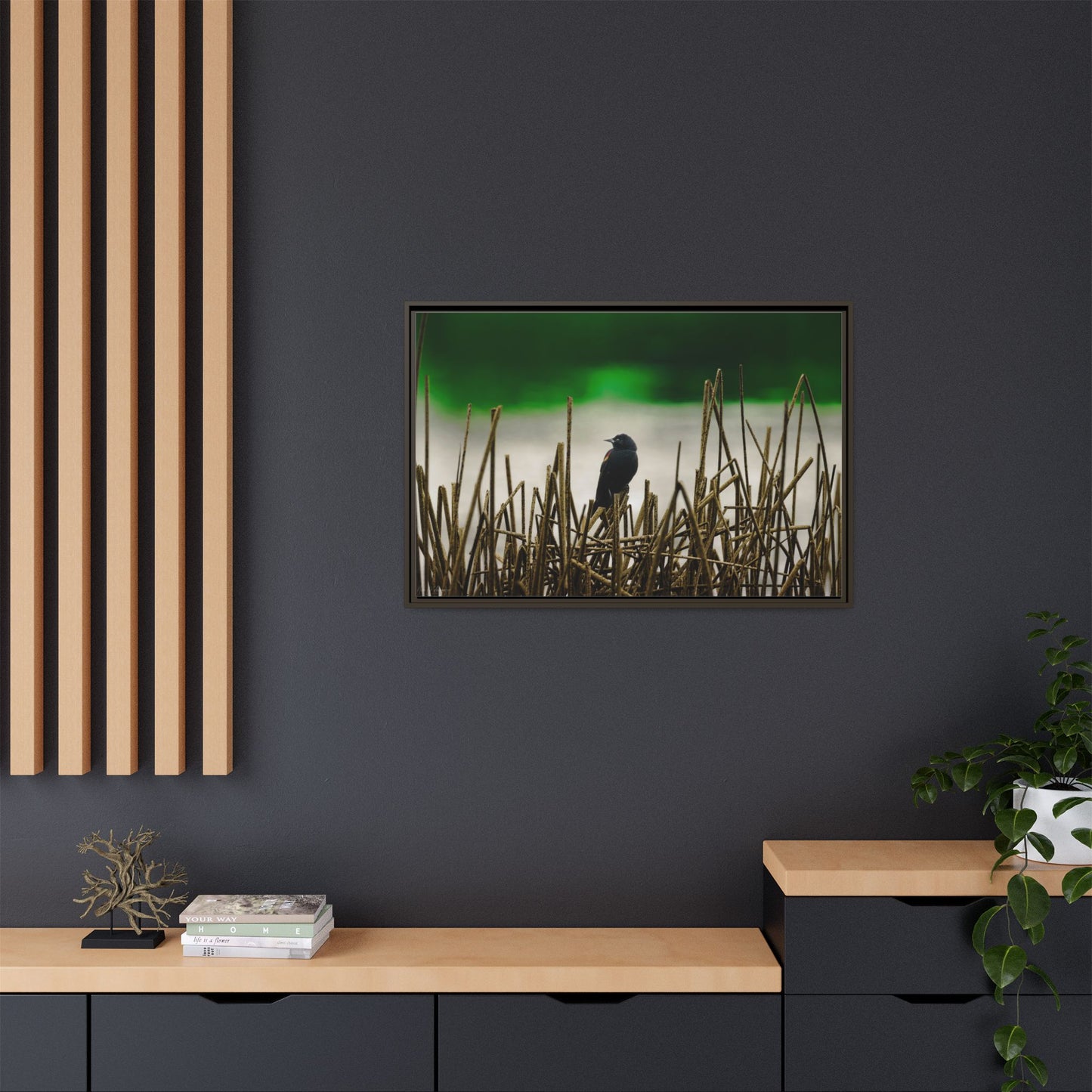 Blackbird | Framed Canvas