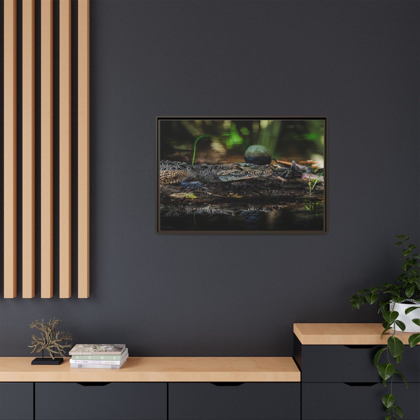 Oaxacroc | Framed Canvas