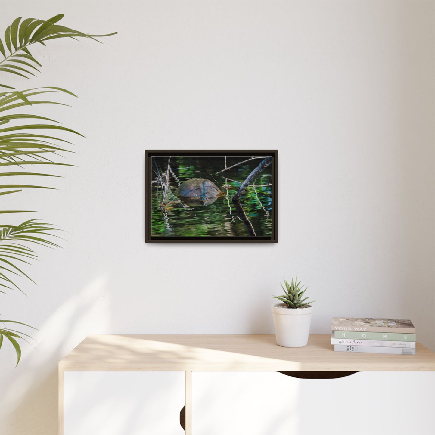 Untitled (Painted Turtle) | Framed Canvas