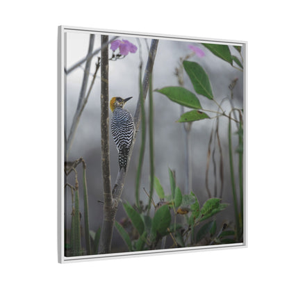 Golden Cheek | Framed Canvas