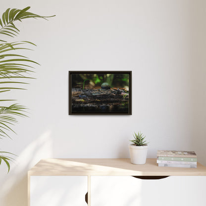 Oaxacroc | Framed Canvas
