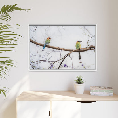 Twin Motmot | Framed Canvas