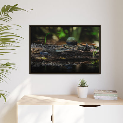 Oaxacroc | Framed Canvas