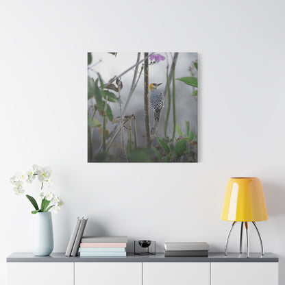 Golden-Cheeked Woodpecker | Canvas Print