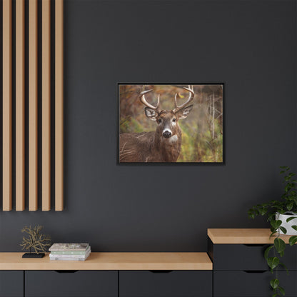 Woodland Buck | Framed Canvas