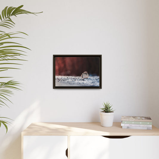 Dove | Framed Canvas