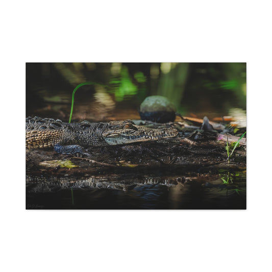 Oaxacroc | Canvas Print