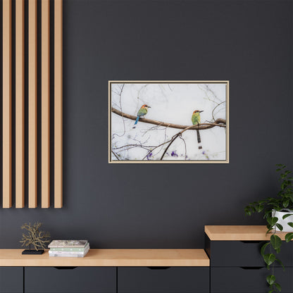 Twin Motmot | Framed Canvas