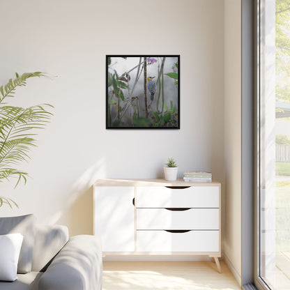 Golden-Cheeked Woodpecker II Framed Canvas Print