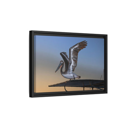 Coastal Pelican | Framed Canvas