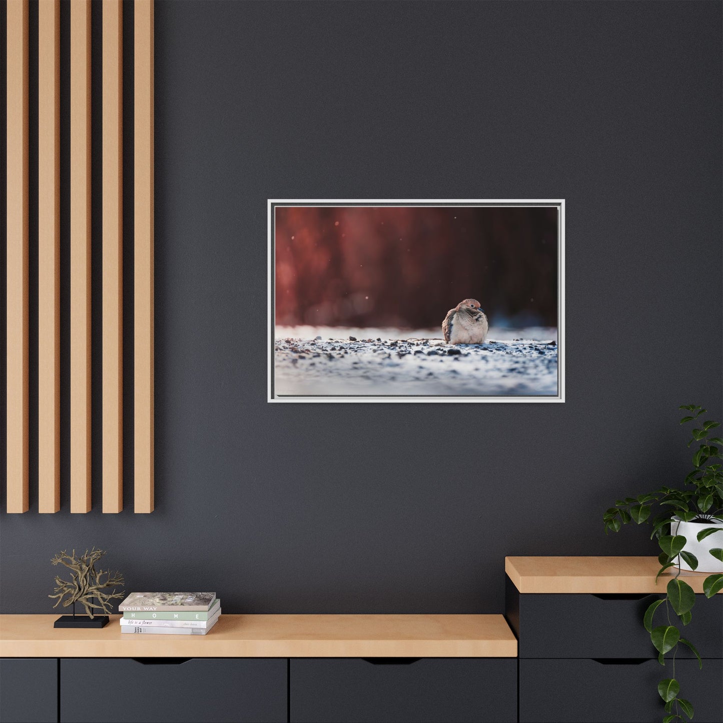Dove | Framed Canvas