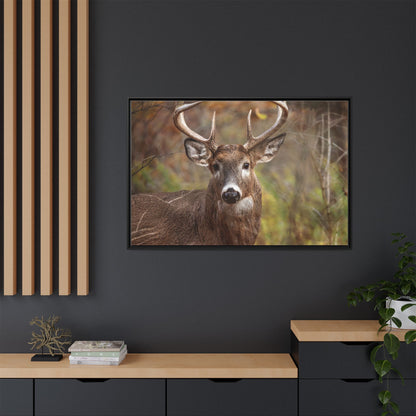 Woodland Buck | Framed Canvas