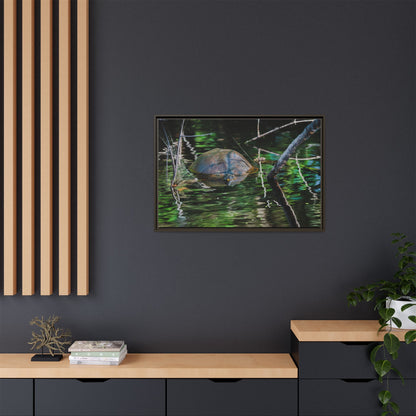 Untitled (Painted Turtle) | Framed Canvas